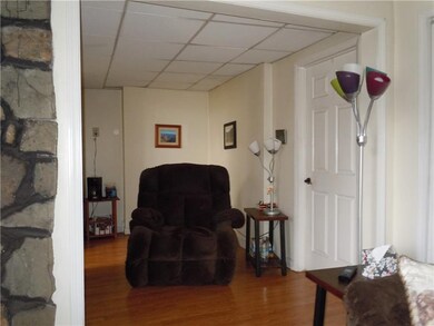 Lower level living room