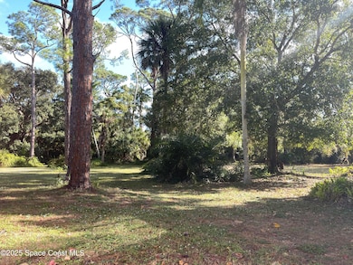 6910 Sheridan Rd, Melbourne, FL 32904 - photo 6