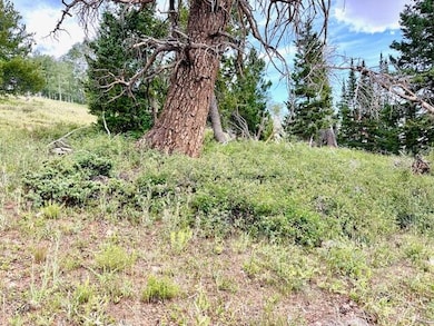 0 Aspen Dr unit M & B, Brian Head, UT 84719 - photo 6