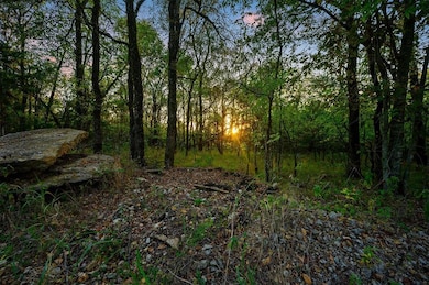 View of nature at dusk