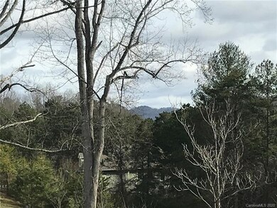 57 Magnolia Farms Dr unit 11, Asheville, NC 28806 - photo 3