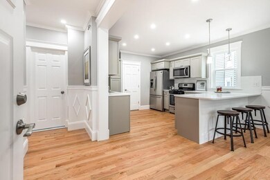 52 Lithgow St unit 3, Dorchester Center, MA 02124 - photo 7