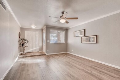 Entry Living Room