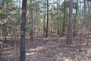 4051 Hard Scrabble Rd, Columbia, SC 29223 - photo 6