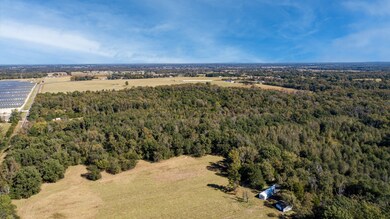 10081 Farm To Market Road 773, Ben Wheeler, TX 75754 - photo 6