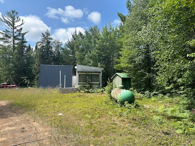 36114 W Ridge Rd, Paradise, MI 49768 - photo 6