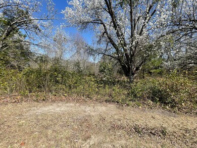additional view 2