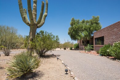 front yard-3