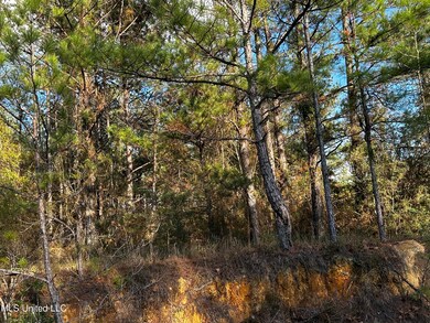 IMG_0329