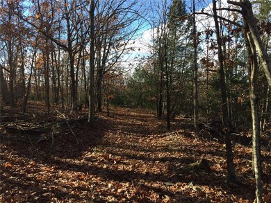 0 SE Slaty Gap Cr# 4149 Rd unit 1032281, West Fork, AR 72744 - photo 7