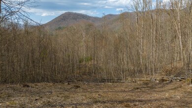 00 River Road Trace, Franklin, NC 28734 - photo 5