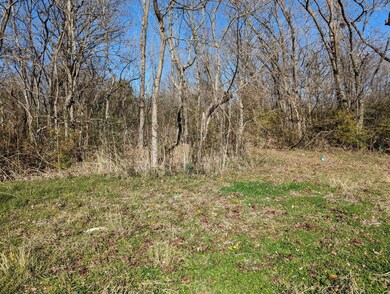 TBD W Heron St, Denison, TX 75020 - photo 2