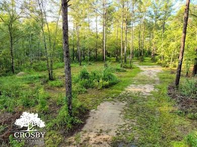 1122 Turf Rd, Statesboro, GA 30458 - photo 3