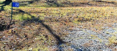 158 Doe Ct, Gray, GA 31032 - photo 4