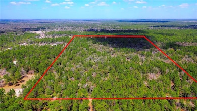 7137 W Sunmar Sample Ln, Dunnellon, FL 34433 - photo 2