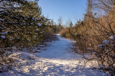 33 Vosburgh Rd, Red Hook, NY 12571 - photo 6