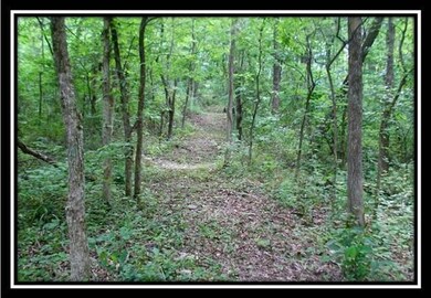 image005