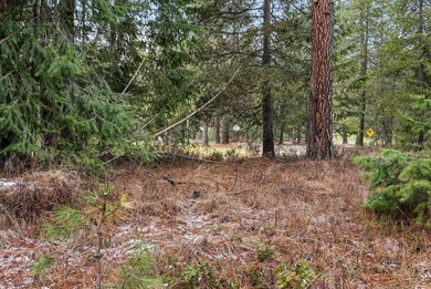 102 Birdie Trail, Chewelah, WA 99109 - photo 3
