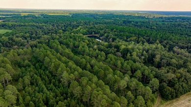 31 Georgia 41, Morgan, GA 39866 - photo 3