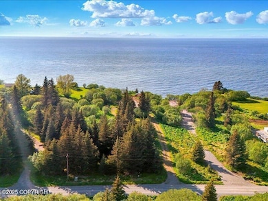 07-dji_fly_20250531_181736_0961_17487624