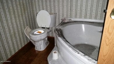 703 Kay St, Reed City, MI 49677 - photo 4