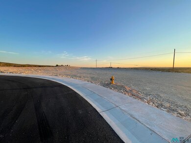 1632 Skyline, Carlsbad, NM 88220 - photo 5