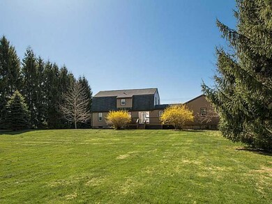 Back Yard. Spacious rear yard