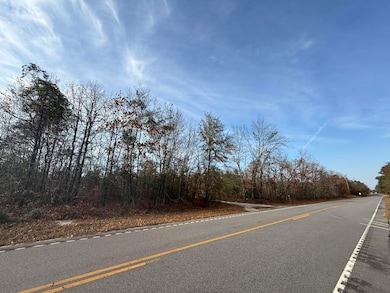 3391 Davis Bridge Rd, Williston, SC 29853 - photo 3