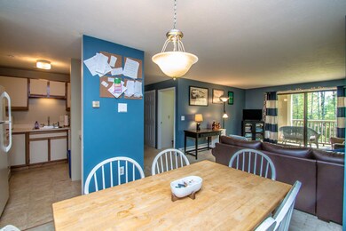 19 Saco St unit 9, Center Conway, NH 03813 - photo 7