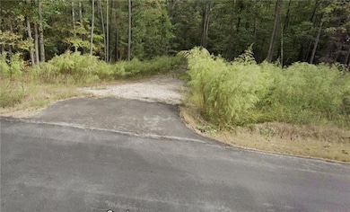 0 Gore Lakes Rd unit 7531375, Dallas, GA 30132 - photo 5