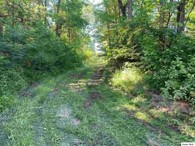 0 Township Rd 539 unit 20210383, Loudonville, OH 44842 - photo 2