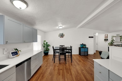 Kitchen with gray cabinetry, stainless steel dishwasher, dark wood-style floors, light stone countertops, and a textured ceiling