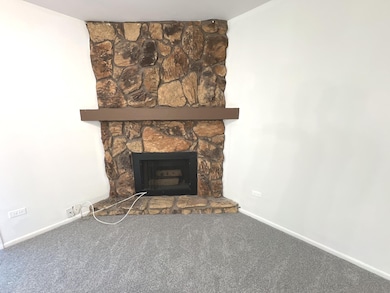 867 E Carriage Ln unit 8, Palatine, IL 60074 - photo 6