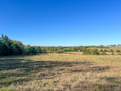 Tract #1 Farm To Market 1774, Anderson, TX 77830 - photo 7