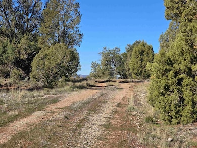 134 Rawhide Rd, Durango, CO 81303 - photo 3