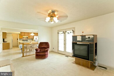 105 Patrick Place, Stephens City, VA 22655 - photo 6