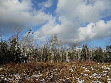M2 L42 E Ridge Road (Off), Cornville, ME 04976 - photo 4