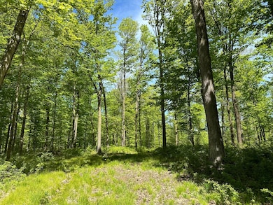 100AC ON 28th Ave N, Merrill, WI 54452 - photo 2