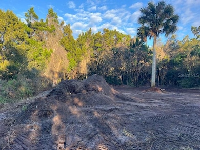 TBD Lawrence Rd, Mims, FL 32754 - photo 4