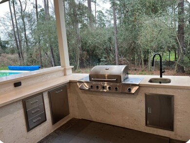 25143 W Tara Plantation Dr, Tomball, TX 77375 - photo 4