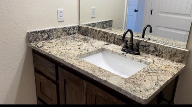 204 Mesquite Tree Ct, Poolville, TX 76487 - photo 4