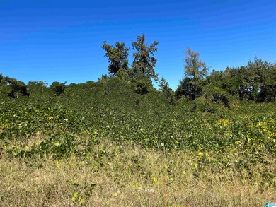 164 Saturn Ln unit 12.000, Birmingham, AL 35215 - photo 3