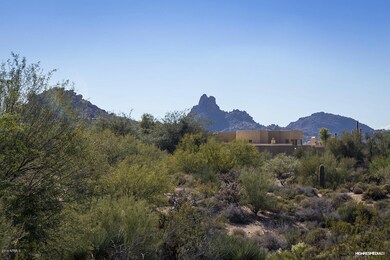 Pinnacle Peak View
