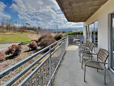 503 Dollywood Ln unit 111, Pigeon Forge, TN 37863 - photo 2