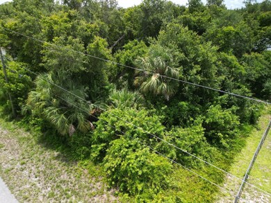 20053 Armstrong Ave, Port Charlotte, FL 33954 - photo 4