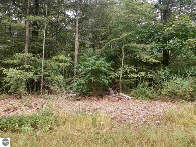 N/A Crescent Ave, Au Gres, MI 48703 - photo 2