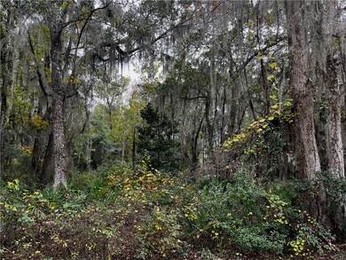 Lot 21 Doboy Ct, Darien, GA 31305 - photo 5