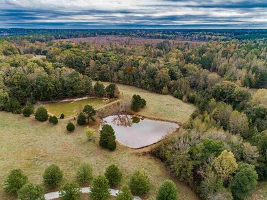 0 Maxeys Rd unit 56438, Union Point, GA 30669 - photo 3