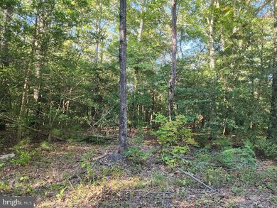 0 Cedar Ln unit VAWE2003294, Colonial Beach, VA 22443 - photo 6