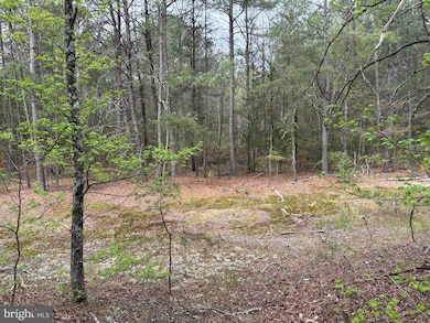 0 Paige Rd unit VACV2007992, Woodford, VA 22580 - photo 2